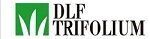 DLF Trifolium