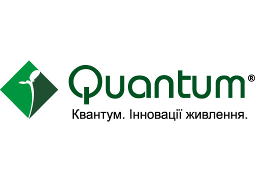 Quantum