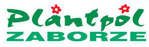 Planton