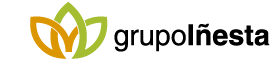 GrupoInesta